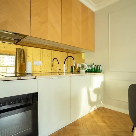 Vipwarsawapartments Onyx Mennica Apartment *